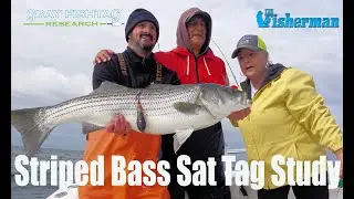 2021 Striped Bass Satellite Tag Study