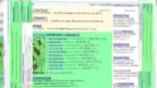 WSI of Richmond will help your business get listed on Google.