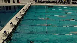 Air Force Women's Swimming vs Northern Colorado