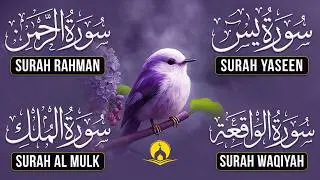 Very Nice Voice Surah Yaseen | Surah Rahman | Surah Waqiah | Surah Mulk l Reciter Ashraf Hussain 104