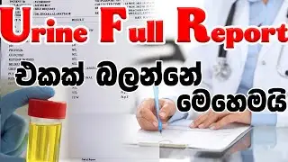 UFR | Urine Full Report | මුත්‍රා පරීක්ෂණ වාර්තාවක් කියවන්නෙ කොහොමද | sinhala