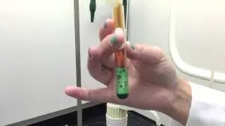 Nitric Acid and Copper