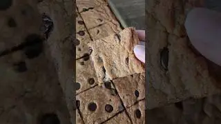 Chocolate Chip Sheet Pan Cookies