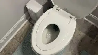 Active Septic Tank System Treatment Pods Review #reviews #septictank