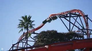 Tigris - Busch Gardens Tampa Bay - Cinematic Onride/Offride - Premier Rides - Sky Rocket / II