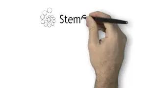 StemCulture StemBeads FGF2