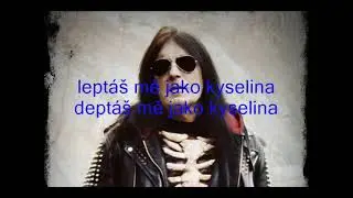 Ale&scaron; Brichta - Kyselina