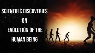 Unraveling the Mysteries of Human Evolution: New Scientific Discoveries