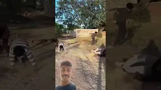 bhai jo jitega uska 10000 ho jaiga #comedy #funny #comedyshorts #tranding #entertainment