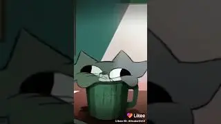 Котик