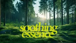 Soothing Essence 🌕 LEO Moon Ocean Drum & Wind Chimes 432hz - Coherence Breathing 5 bpm