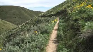 Watchman Trail - Boise, Idaho