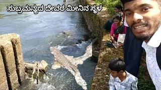 Subramanya's God's fish river 🙏💐#viralvlog #mvhbro #travelingvlog #motovloggr #tuluvlogs