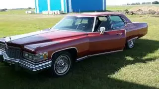 Barry & Betty Pippin Auction Sale (1976 Cadillac Fleetwood Talisman )