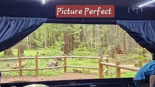 Beautiful Camping View