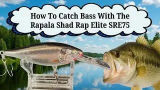 How To Catch Bass With The Rapala Shad Rap Elite SRE75