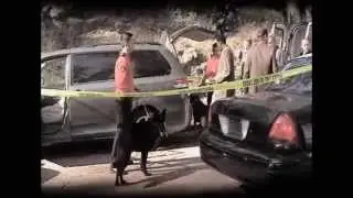 German Dog Training Center featured on Final Witness (airing on ABC)