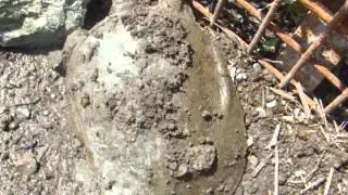 DSCF9619