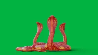 Naagin Snake Animations On Green Screen