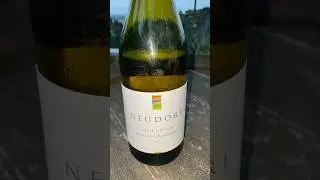 Tasting Neudorf Rosies Block Moutere Chardonnay 2024 #nelsonchardonnay #newzealandwine #wine #dcamw