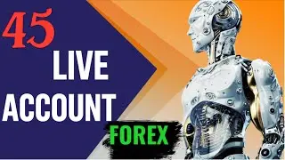 45 LIVE Forex Account Results |Automatic Auto Trading Robot 💰💰