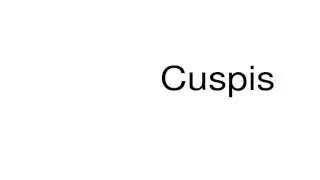 How to pronounce Cuspis