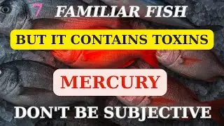 7 common fish but high in mercury &ndash; don&rsquo;t underestimate the risks