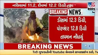 ઠંડીમાં ઠુંઠવાયું ગુજરાત, અમરેલી સૌથી ઠંડુ શહેર | Coldwave Report | Amreli | Winter 2026 | TV9