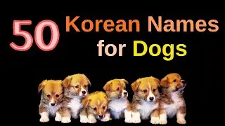 50 beautiful Korean names for Dogs and puppies - how to pronounce each name and their meanings.