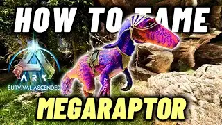 Как приручить мегараптора, руководство по приручению вознесенного Вальгеро в Ark Survival!