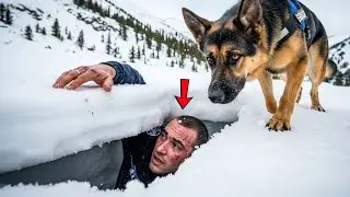 A Police Dog Wouldn&rsquo;t Stop Barking&mdash;Two Officers Were Buried Alive Below
