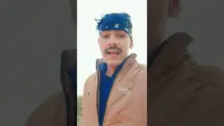 Kiya kiya #bollywood #song #hindi #viral #short #video #nature #explore #yt #youtuber #newharyan