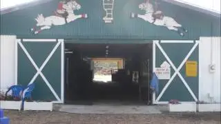 Herrmanns Lipizzans Stallions Going Home 2014
