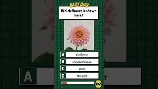 Guess the Flower by Picture | Fun Quiz Challenge