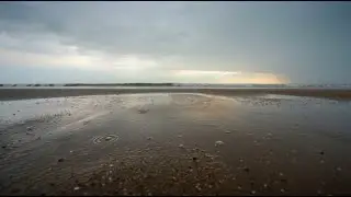 Rain on Beach Sand | 45 Minutes Orchestral Jazz Ambient for Relax & Focus