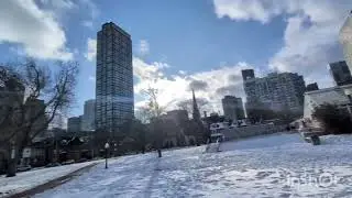 Allan Gardens Toronto Ontario Canada 