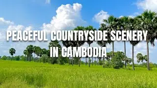 Peaceful Countryside Scenery in Cambodia 🌾 | Relaxing Nature Sounds