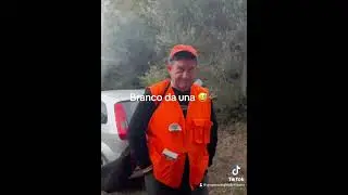 Palombe ai galetri, branco da una 😅🐗