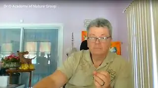 Чеки, Ноты, Бонды в  обнулении долгов, всё оплачено! Мега Конференция Март 22 2025 Часть 2 -