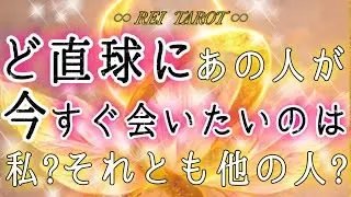 【⚠️ハッキリ出しました✋🏻】ど直球にあの人が今すぐ会いたいのは私／僕❓それとも他の人❓👀