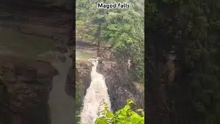 Magod falls, Yellapur #trendingshorts #travel #nature #viral #reels #yellapur