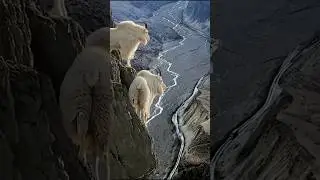 Shocking Nature Revelations