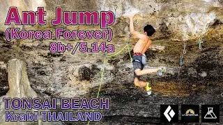 Ant Jump (Korea Forever) 8b+/5.14a... Tonsai Beach... KRABI Thailand