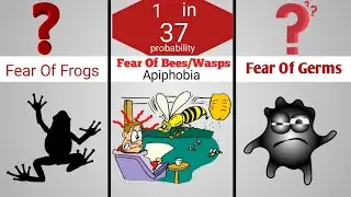 Probability Comparison: Most Common Animal Phobias And Fears