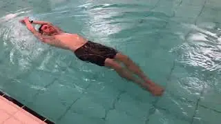 Dolfijn; 3/4 vissenstaart met handen boven het hoofd