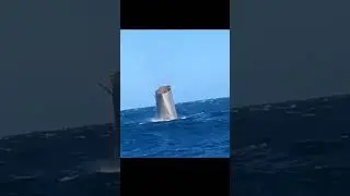 Super Heavy Ocean Splashdown