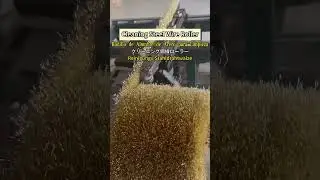 Cleaning steel wire roller.#brush #factory #industrial #cleaning#cleaninghacks