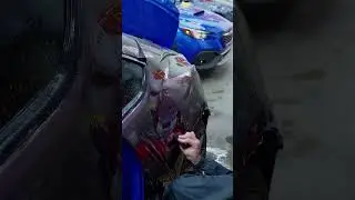 Want to change the color of your car?