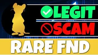 RARE FND TOKEN REVIEW FOR BEGINNERS: IS IT A SCAM TOKEN OR NOT? THINGS YOU MUST KNOW!