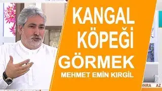 Rüyada Trabzon'da hamsi yedikten sonra uçtuğunu görmek ne anlama geliyor? / Mehmet Emin Kırgil